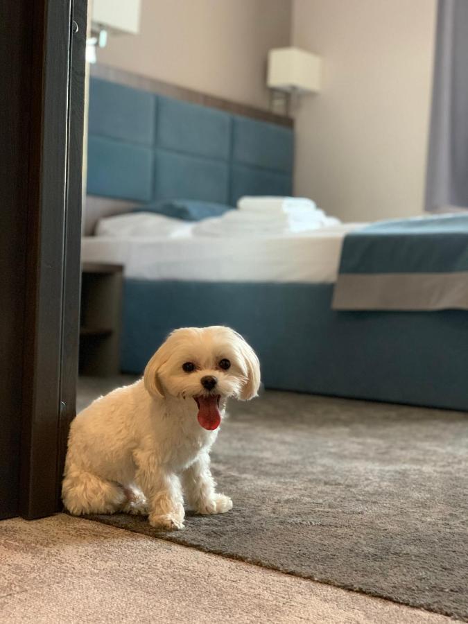 Hotel Sleep วรอตซวาฟ ภายนอก รูปภาพ